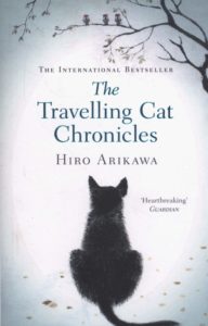 travelling cat