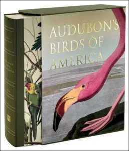 audubon birds of america 2023