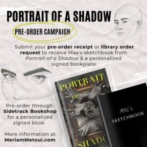 portrait of a shadow incentive