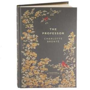 timeless classics bronte the professor