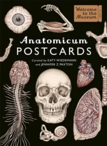 anatomicum postcards 2020 9781787416529