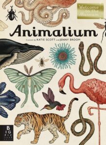 animalium 2014 US