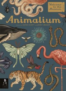 animalium UK 2017