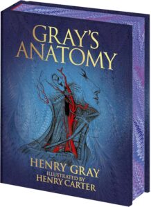 Most Beautiful Classic Books of 2025 – A Holiday Gift Guide arcturus epic grays anatomy 2025