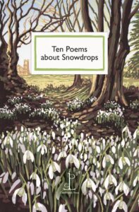 Most Beautiful Fiction Books of 2025 – A Holiday Gift Guide 10 poems snowdrops 25