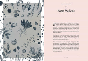 World Folk Magic japanese folk magic int1