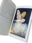 Collecting Charles van Sandwyk Artist Books, 2008-present CVS childrens literary tradition int 2