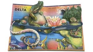The Most Beautiful Pop-Up Books incredible popup animals hestia header