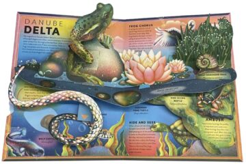 Incredible Pop-Up Animals incredible popup animals hestia header