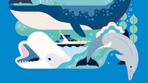 Articles Changelog all about animals hestia update apr 26