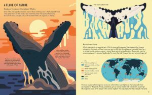 About Animals series by Owen Davey davey wild about whales int2
