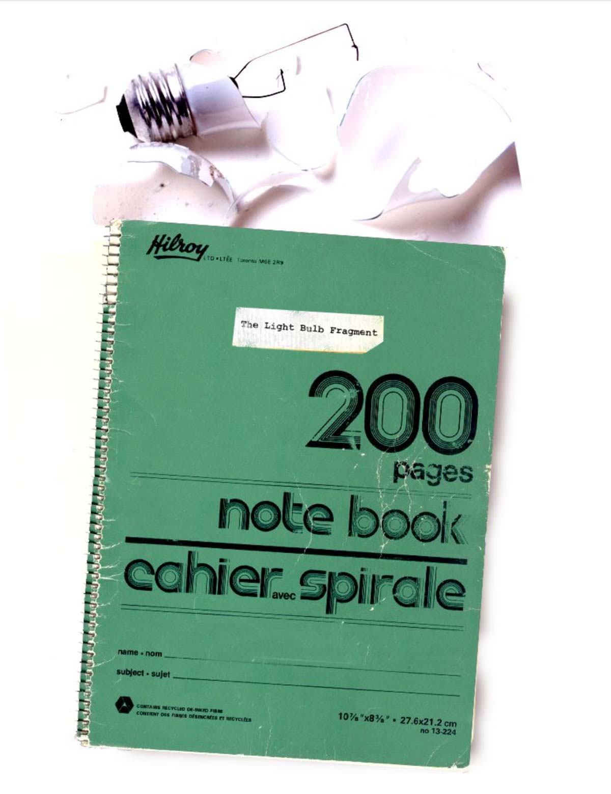 The Raw Shark Texts ARG: Alternate Reality Game Light Bulb Fragment notebook cover