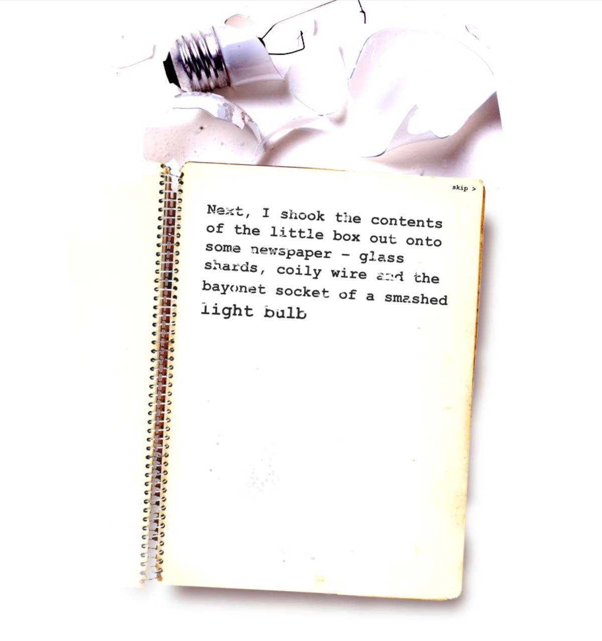 The Raw Shark Texts ARG: Alternate Reality Game Light Bulb Fragment notebook page 2